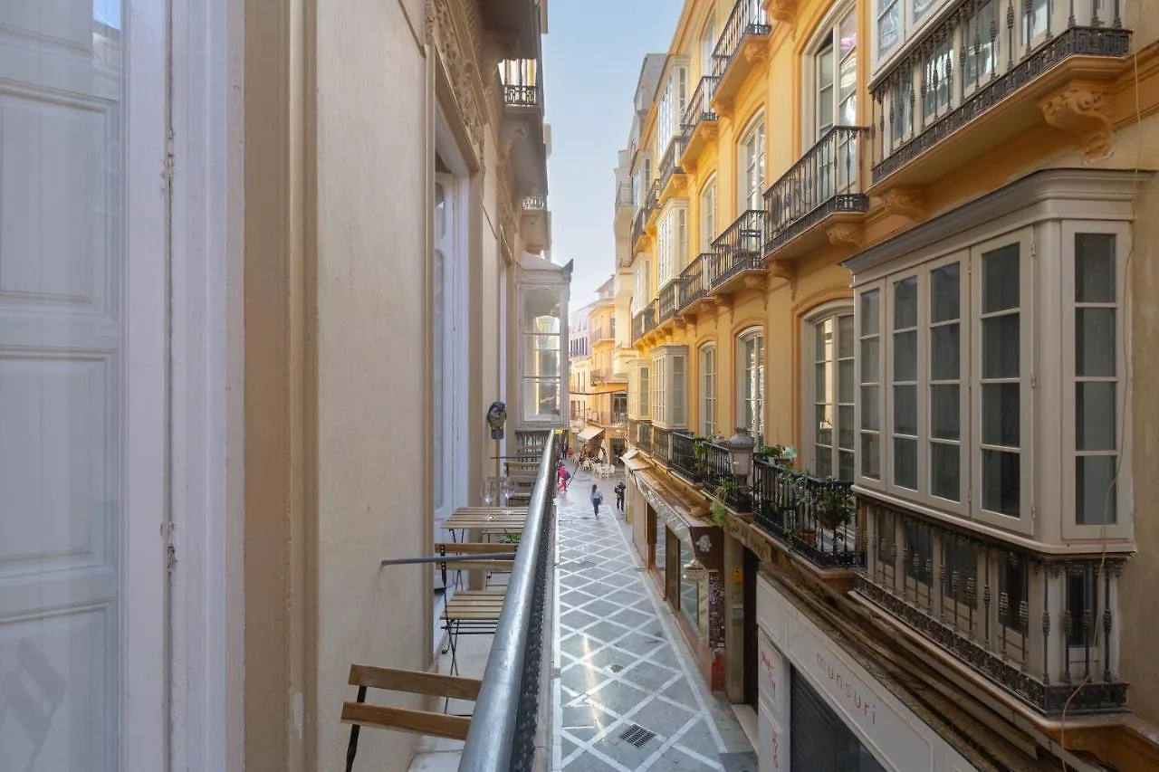 Puerta De Larios: Central Three-Bedroom Apartment With Balconies And Patio Malaga